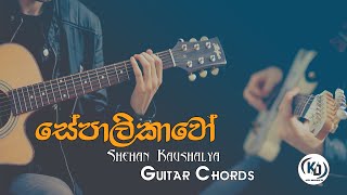 Sepalikawo සේපාලිකාවෝ  Sheshan Kaushalya  Guitar Chords By KD Musics [upl. by Tarryn873]