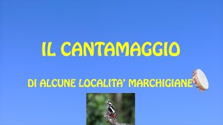 IL CANTAMAGGIO MARCHIGIANO  Alcune versioni di un canto popolare [upl. by Lounge]