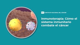 Inmunoterapia Cómo el sistema inmunitario combate el cáncer [upl. by Trescott]