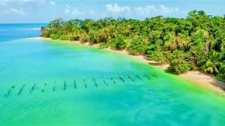 Cahuita Costa Rica 4K Drone Footage [upl. by Aikaz]