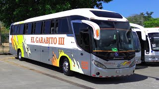 Mascarello Roma R6  DRONEBUS  BUSES PZ 4k [upl. by Weaks]