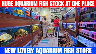 Huge Aquarium Fish Stock At One Place  At New Lovely Aquarium Fish Store In Kalyan [upl. by Appleton]