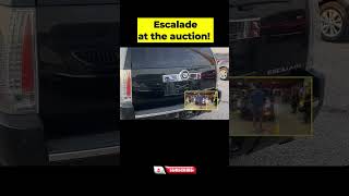 🚘 Caddy Big Body Escalade 🚘 subastadecarros cartok [upl. by Eiramasil]