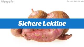 Lektinreiche Lebensmittel die Sie ohne Beschränkungen essen können [upl. by Florence]