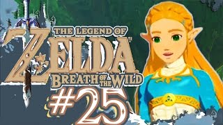 The Legend of Zelda Breath of the Wild Part 25 RIDGELAND Tower RAGE [upl. by Eerol697]