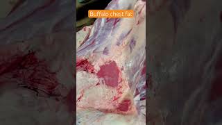 Buffalo chest fat meat beef beefcutting meatcutting butcher food shorts shortsfeed asmr [upl. by Theodore]