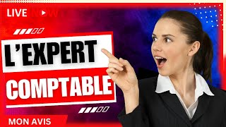 🔴 Le métier dexpertcomptable  Ce que lon ne vous dit pas sur la profession [upl. by Daile]