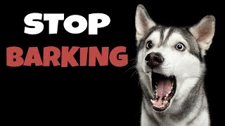 High Pitched Dog Whistle Sound To Stop Dogs Barking [upl. by Straus853]