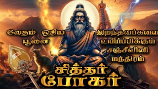 வேதம் ஓதிய பூனை  போகர் சித்தரின் முழு வாழ்க்கை வரலாறு  Bogar secrets in Tamil  Kandha Sashti [upl. by Shane701]