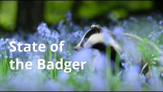 STATE OF THE BADGER [upl. by Japha369]