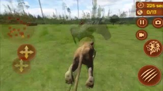 Jungle King Real Lion Sim  Gameplay video [upl. by Ericha]