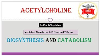 Biosynthesis and Catabolism of Acetylcholine  MEDICINAL CHEMISTRY  BPharm 4th SEMESTER  Technica [upl. by Laehpar]