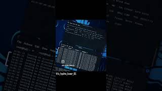 DDos Attack  kali linux  wifi hack youtubeshorts computer programming hacker reels [upl. by Aynwad148]