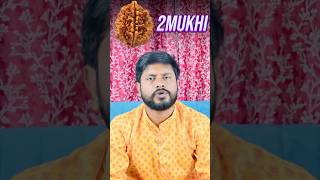 2 mukhi Rudraksha benefits  Marriage youtubeshorts [upl. by Fakieh]