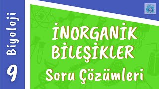 Biyoloji 9Sınıf  İnorganik Bileşikler Soru Çözümleri [upl. by Eiddet]