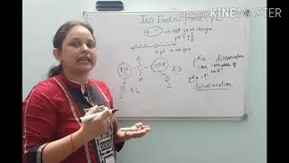 Isoelectric point Aminoacids proteins and calculation of pI with question and answer [upl. by Aiekram]