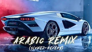 New Arabic Remix Song 2023  Tiktok Arabic Remix Song  Bass boosted slowed reverb [upl. by Jaclin]