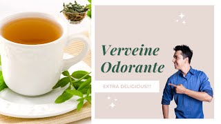 Verveine citronnelle Aloysia Citriodora  tisane aux multiples bienfaits [upl. by Merete345]