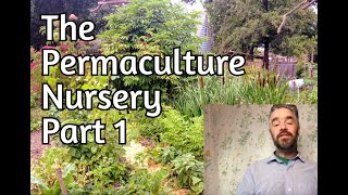 The Permaculture Nursery  Part 1  Overview and Integration [upl. by Anairo288]