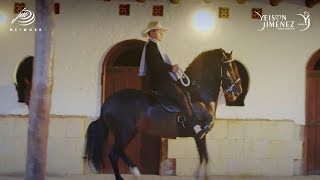 El Mejor Caballo  Yeison Jiménez Video Oficial [upl. by Nezam]