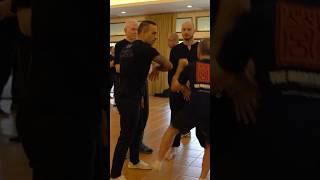 Wing Chun Master Demonstrates the Power of Circular Force [upl. by Atal837]