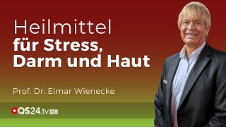 Heilung von innen heraus Wie Mikronährstoffe Stress Darm und Haut transformieren  QS24 Gremium [upl. by Kerr]