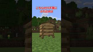 【アドオン紹介】一個減らしてシチにしてやる！【統合版マイクラ】 [upl. by Radbourne99]