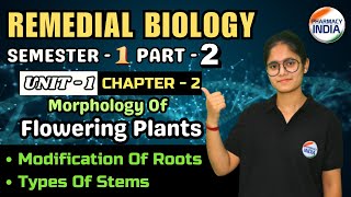 Modification Of Roots  Types Of Steams  UNIT1  CH2  P2 SEMESTER1  Remedial Biology [upl. by Ennaerb]