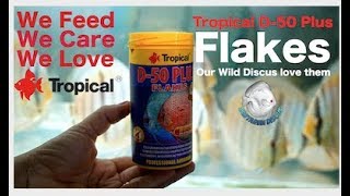 TROPICAL D50 Plus Flakes  See in HD 1080 dpi [upl. by Gnol330]