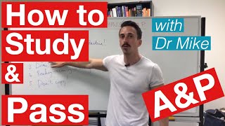 How to study and pass Anatomy amp Physiology [upl. by Ettenowtna]