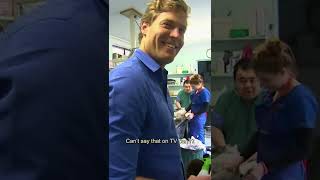 HUGE Hanging Cyst On Dogs Rear 😱  Bondi Vet shorts [upl. by Wynn265]