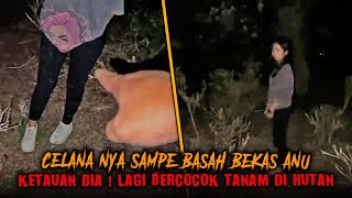 P4CARNYA GAK NG0T4K ABIS ENA ENA DI TINGGALIN SENDIRIAN DI HUTAN  KIRIM SANTET [upl. by Siloum594]