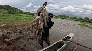 එලන දැල්වල රිදි කාෆයෝ 😮 🐟islandfishing පඩිකැපුහෙල වැව 🌱😍 [upl. by Vardon]