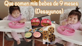 Que le doy de comer a mis bebes de 9 meses  primera parte desayunos y snacks [upl. by Elleivad]