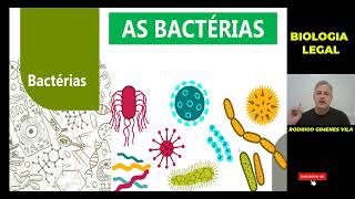 A Biologia das BACTÉRIAS [upl. by Adahsar]