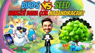 Birds ve SEED TÜRKİYE GUİLDİMİZİ KURDUK SÜPRİZ ÖDÜLLER [upl. by Leiram303]