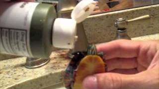 How to Treat Painted Turtle with Fungus Skin Infection [upl. by Anaeli]