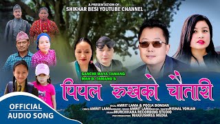 Pipal Rukhako Chautari  Amrit Lama amp Pooja Bomjan  New Tamang Selo Song 2024 [upl. by Retsae]