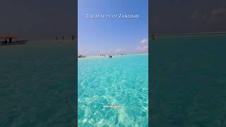 Zanzibar Tanzania travel youtubeshorts africanholiday africanbeach africantravel [upl. by Eat475]