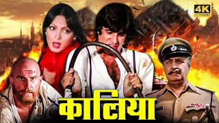 Vintage Amitabh Bachchan Action Movie  Kaalia 1981  Parveen Babi Kader Khan Amjad Khan Pran [upl. by Cavit]