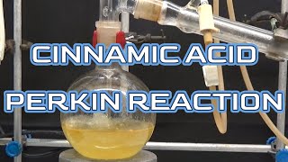 CINNAMIC ACID PERKIN REACTIONncchem [upl. by Ajuna]