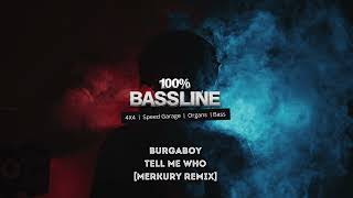 100 BASSLINE  BURGABOY  TELL ME WHO MERKURY REMIX  HQ [upl. by Ajup]