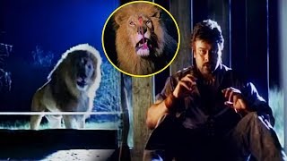 Chiranjeevi Lion Fight Scene  Telugu Scenes  Telugu Videos [upl. by Erena]