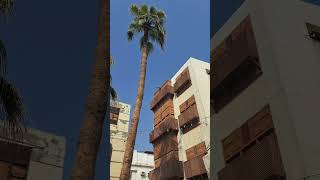 Jeddah Old Town Kandahar filming location jeddah saudiarabia travel blogger guide movie [upl. by Finstad]