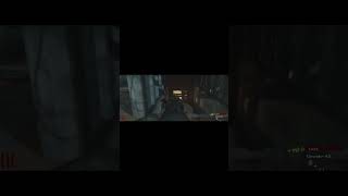 Call of Duty World at War N Zombies callofduty cod gaming pcgaming videogames pc [upl. by Adnwahsor591]