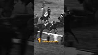 ⭐ Best Of The Betfair Hurdle  1 Persian War ⭐ horse horseracing newburyracecourse [upl. by Niliac]