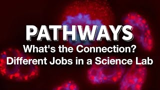 Pathways Whats the Connection  Different Jobs in a Science Lab [upl. by Branham116]