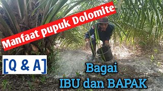 Manfaat pupuk Dolomite untuk kelapa sawit QampA [upl. by Margarita]