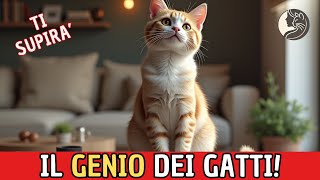 IL SEGRETO DEI GATTI La Verità Sulla loro INTELLIGENZA [upl. by Irap]