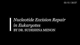 Nucleotide Excision Repair in eukaryotes [upl. by Survance]